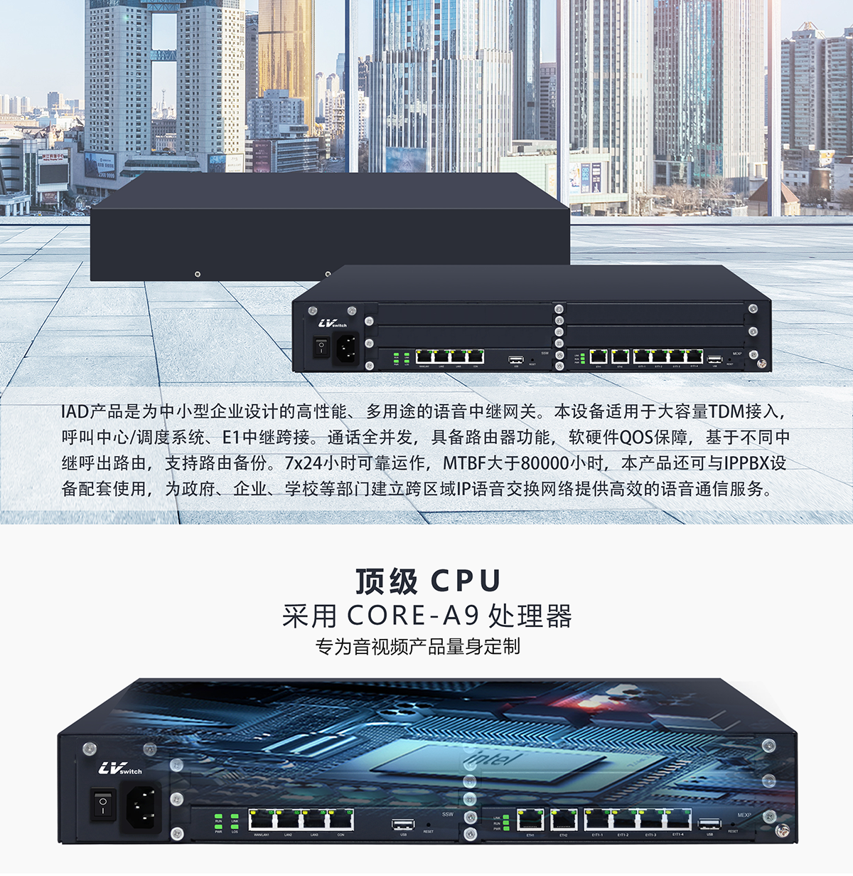 IAD 100-4E1(图1)