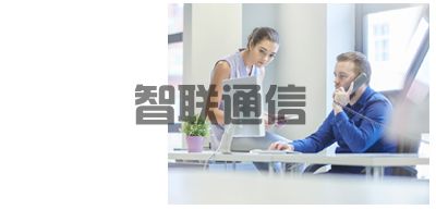 NEC SL2100 电话交换机(图3)